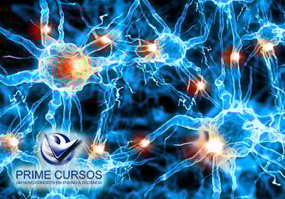 Curso de Biologia para ENEM Curso de Biologia para ENEM