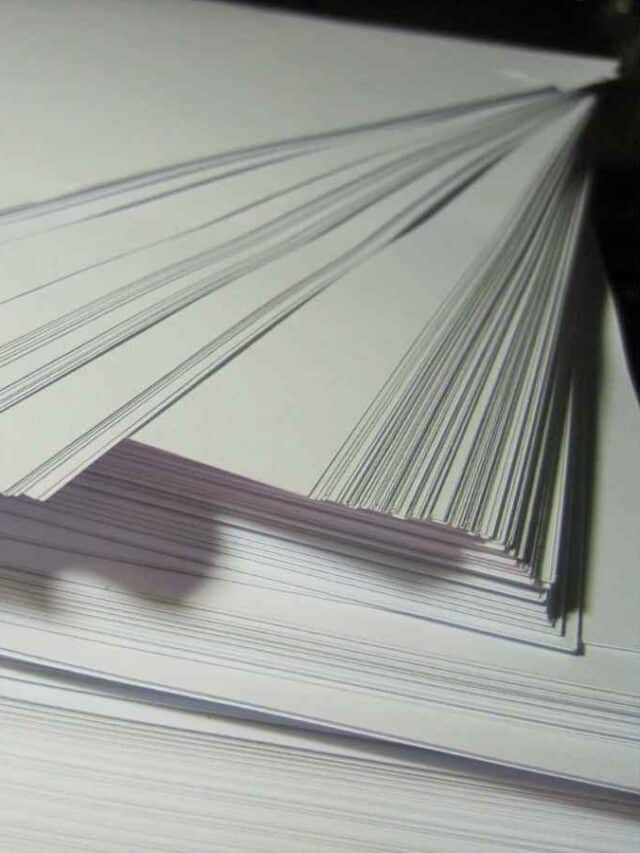 cropped coletivo papel canva.jpg