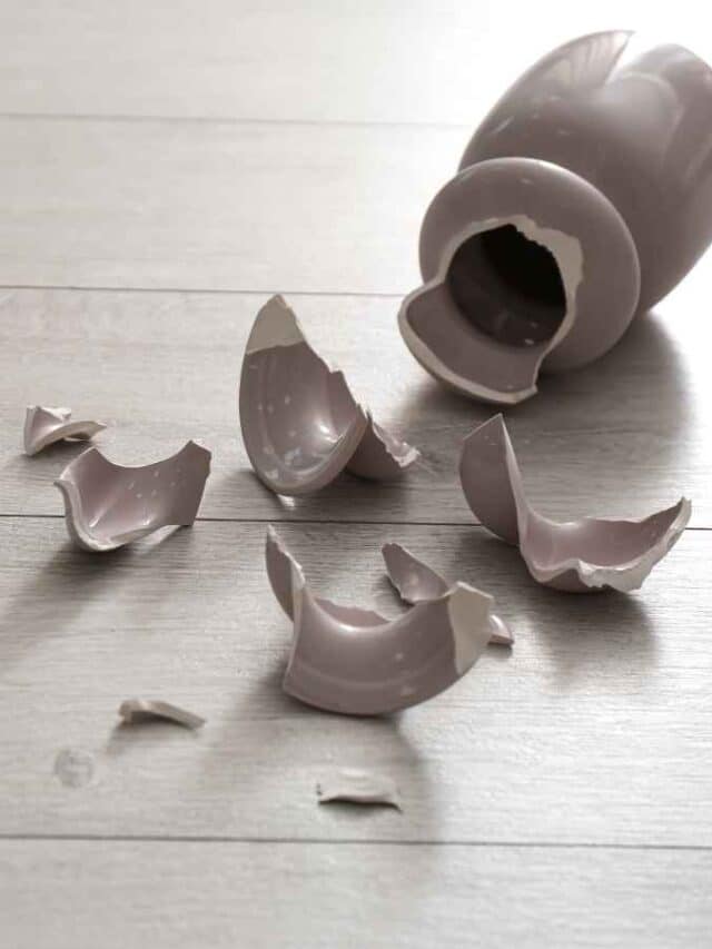 cropped vaso quebrado canva.jpg