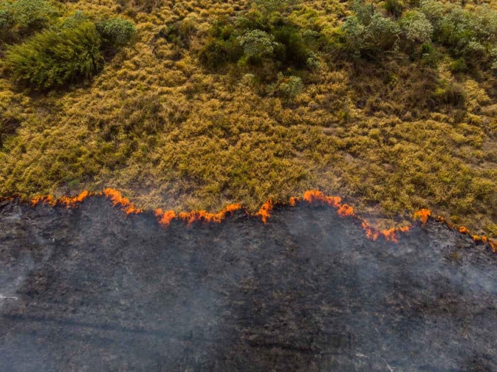 Faixa de fogo avançando pela vegetação seca vista de cima.