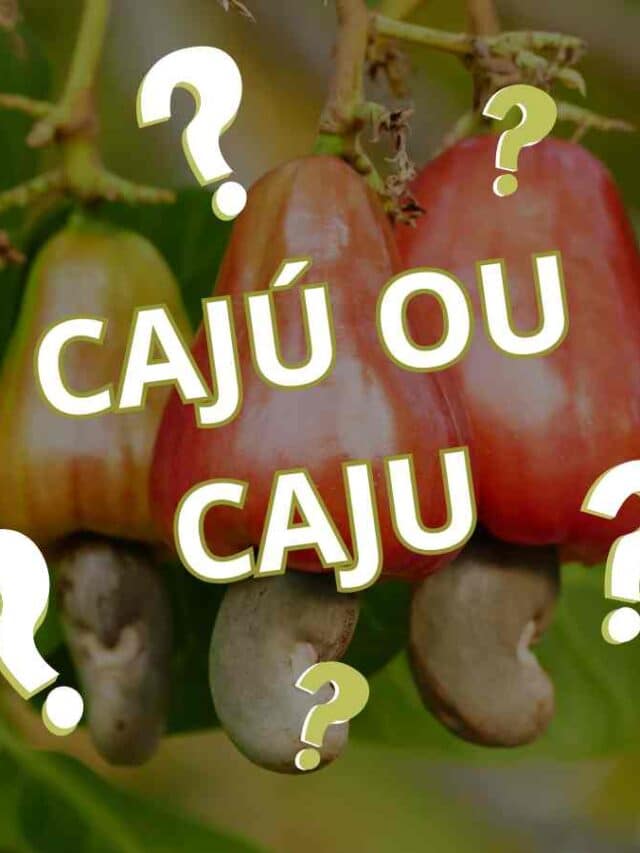 cropped duvida ortografica caju canva.jpg