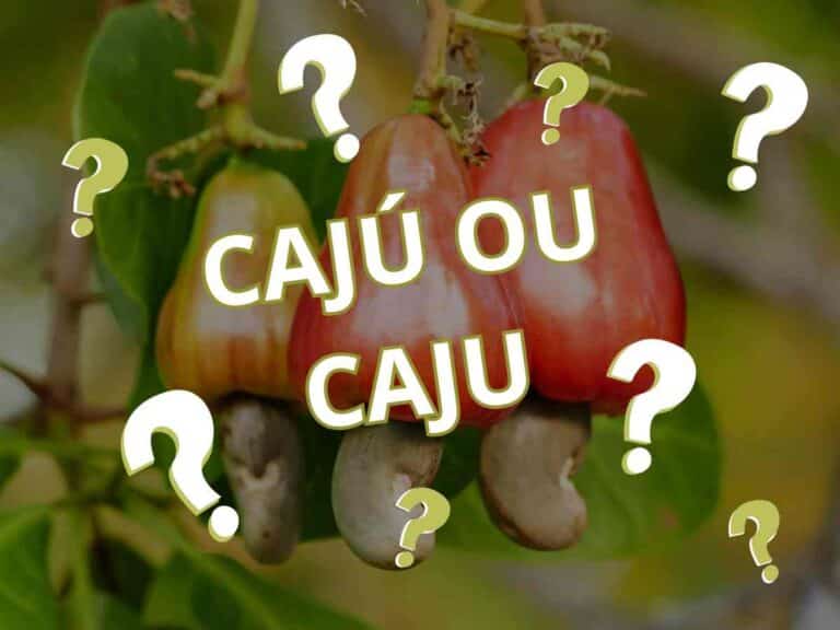 Imagem com três cajus pendurados na árvore, sobrepostos pela pergunta “Cajú ou Caju?” em destaque, cercada por vários pontos de interrogação. A imagem ilustra uma dúvida ortográfica comum sobre o uso de acento na palavra "caju".