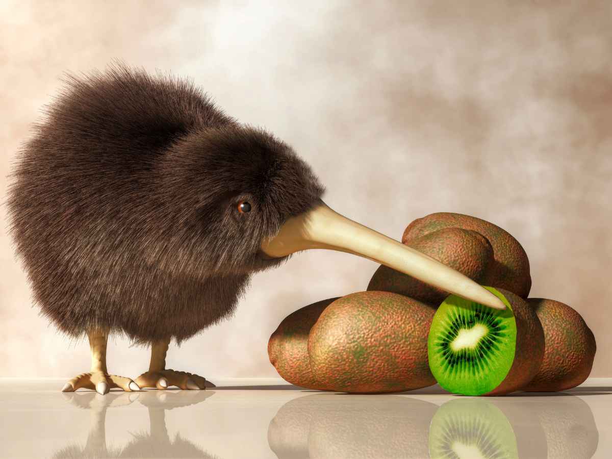 Ilustração de um pássaro kiwi ao lado de várias frutas kiwi, incluindo uma cortada que revela a polpa verde vibrante.